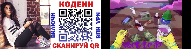 даркнет Telegram  Темрюк  Кодеиновый сироп Lean Purple Drank  где найти  