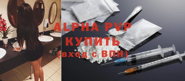 стаф Арсеньев