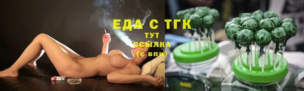стаф Арсеньев