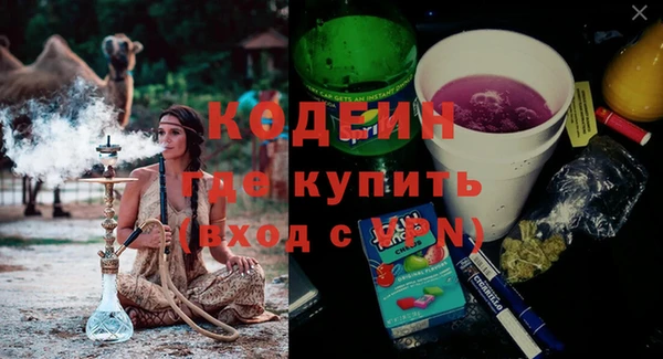 стаф Арсеньев