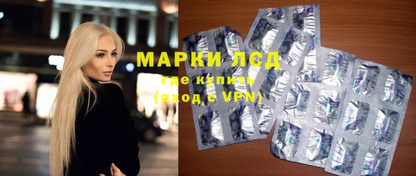 стаф Арсеньев