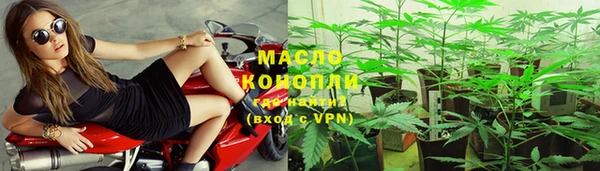 стаф Арсеньев