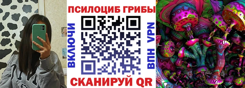 Галлюциногенные грибы Psilocybine cubensis  Темрюк 